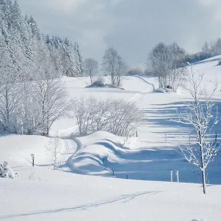 펜션 Ferienhaus Hirschalm 언터와이센베크